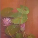 water lilly lll